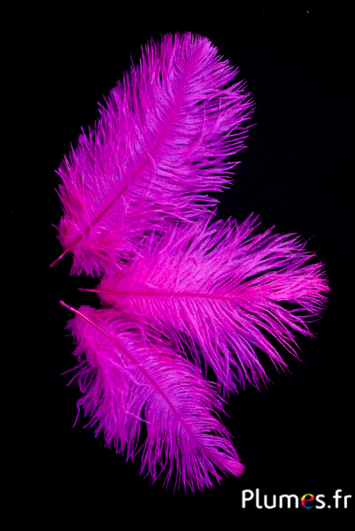 Autruche - 13-18 cm - fuchsia